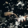 HP, les pubs, et l'interaction : ça change de style, et c'est beau !