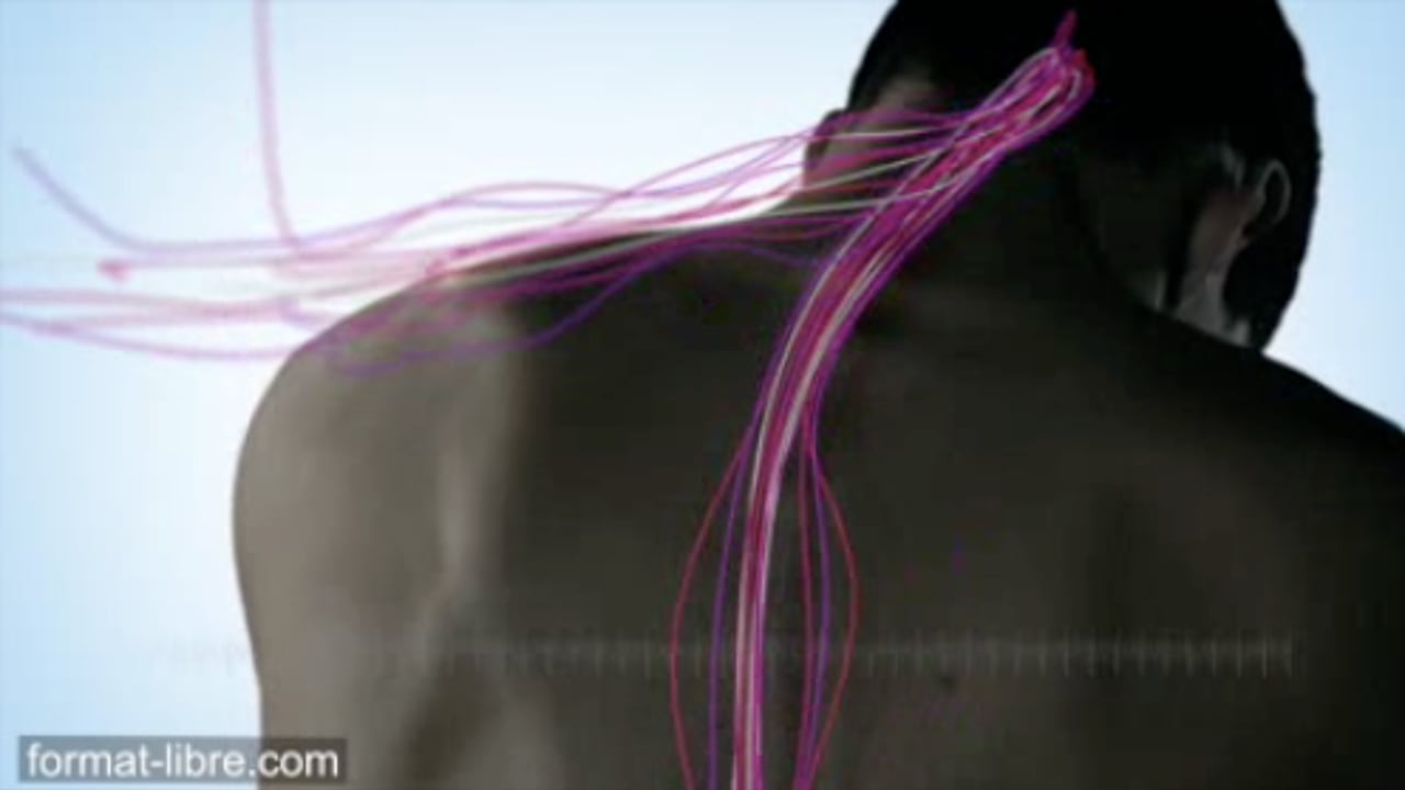 Thumbnail for "Chirurgiens de l'Espoir"