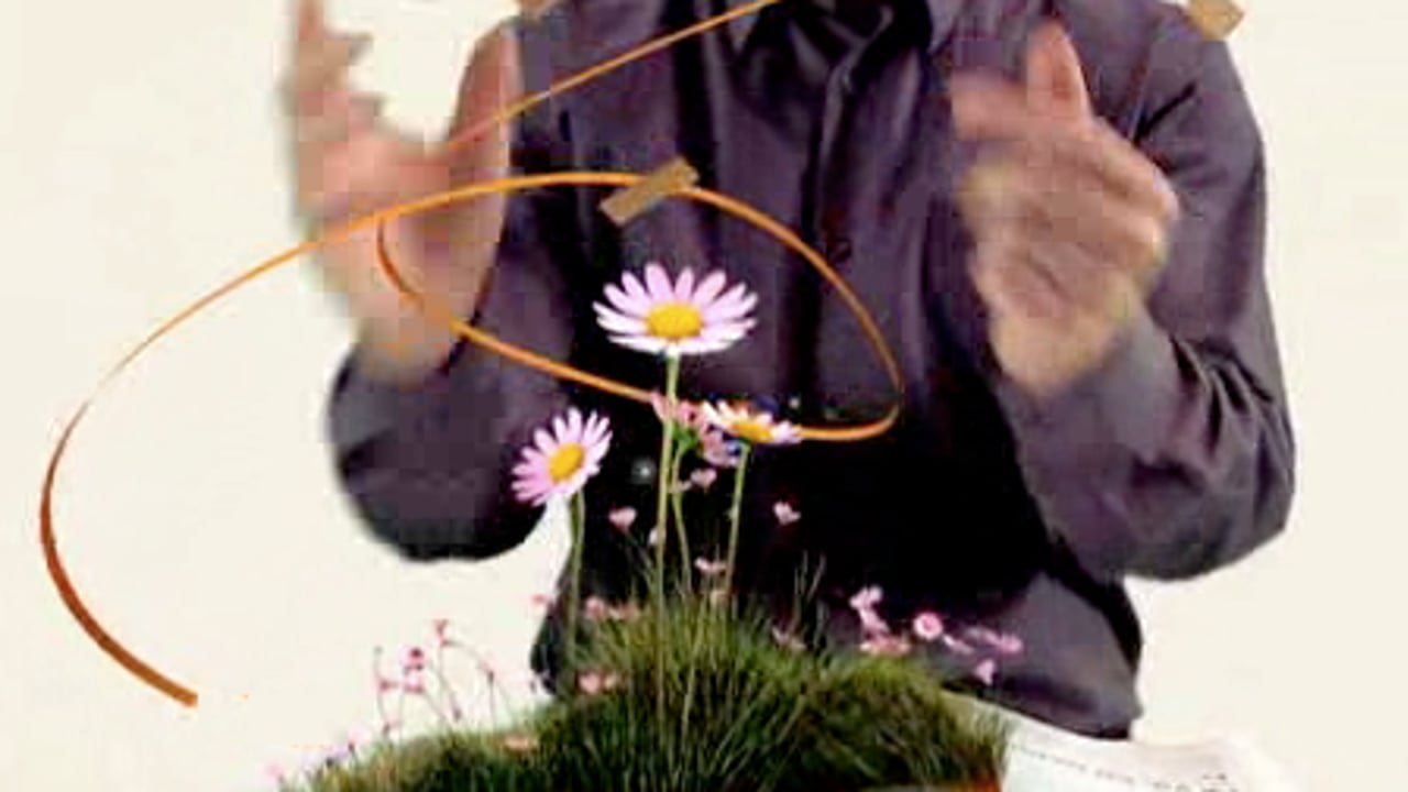 Vignette de « La Maison »