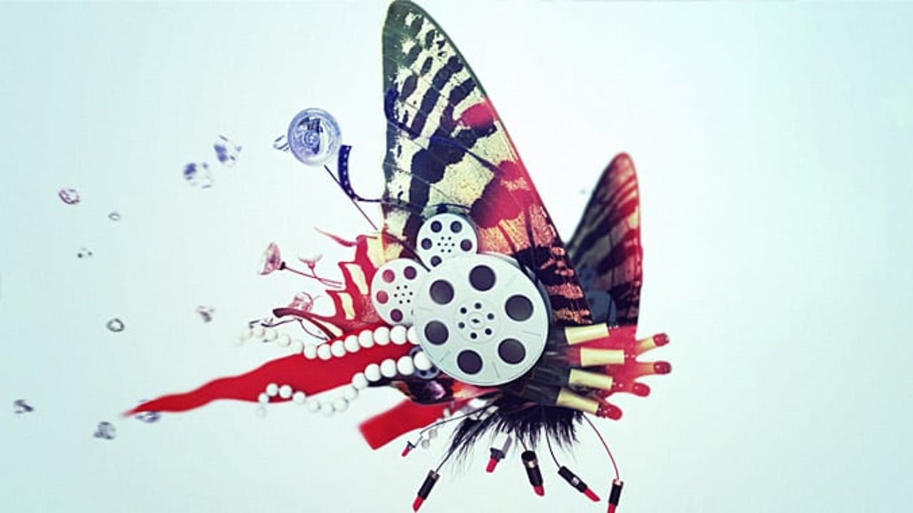 Vignette de « Msn Talk Butterflies Spot A French »