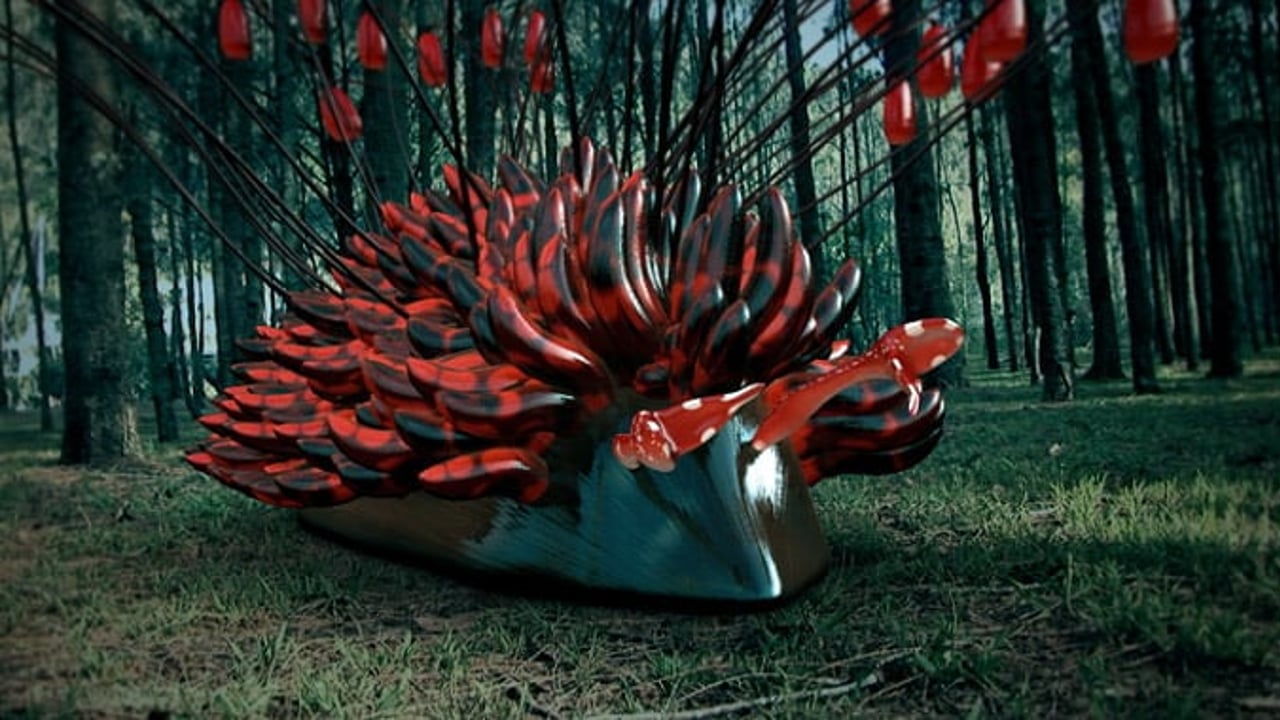 Vignette de « MTV - Australia Video Music Awards »