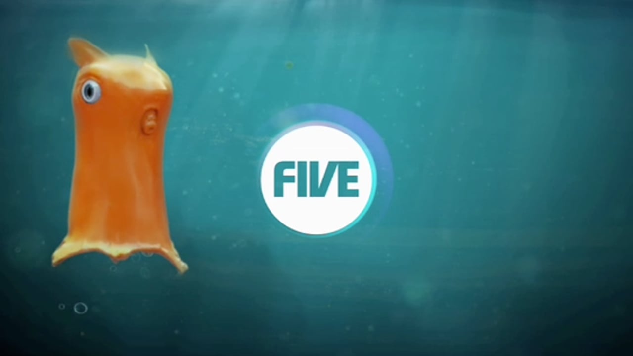 Thumbnail for "Five - Food Chain"