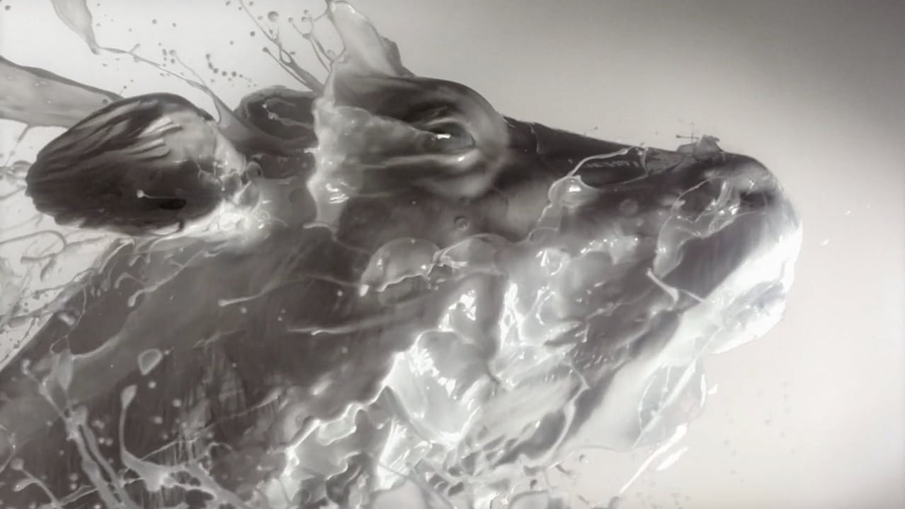 Vignette de « Fage - Plain »