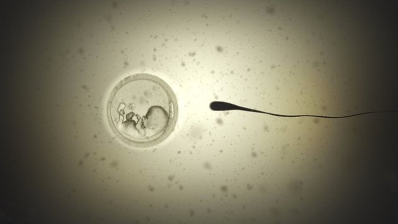 Thumbnail for "Too Late"