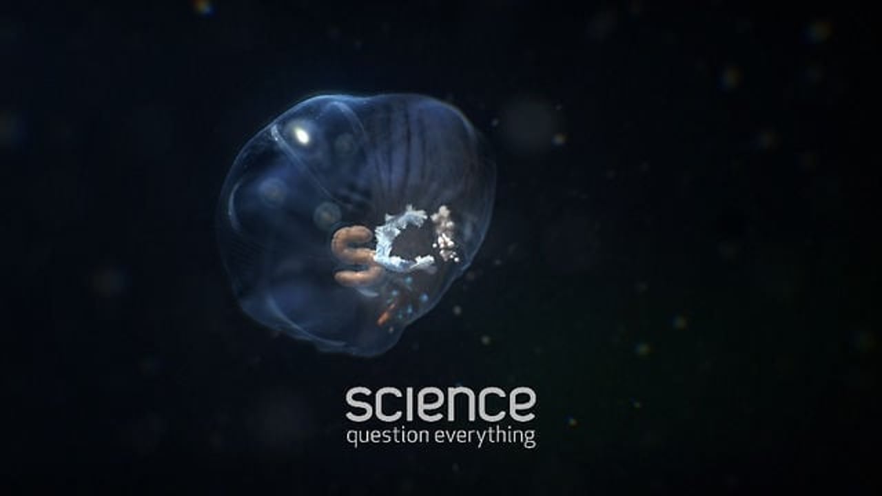Vignette de « Science - Deep Sea »