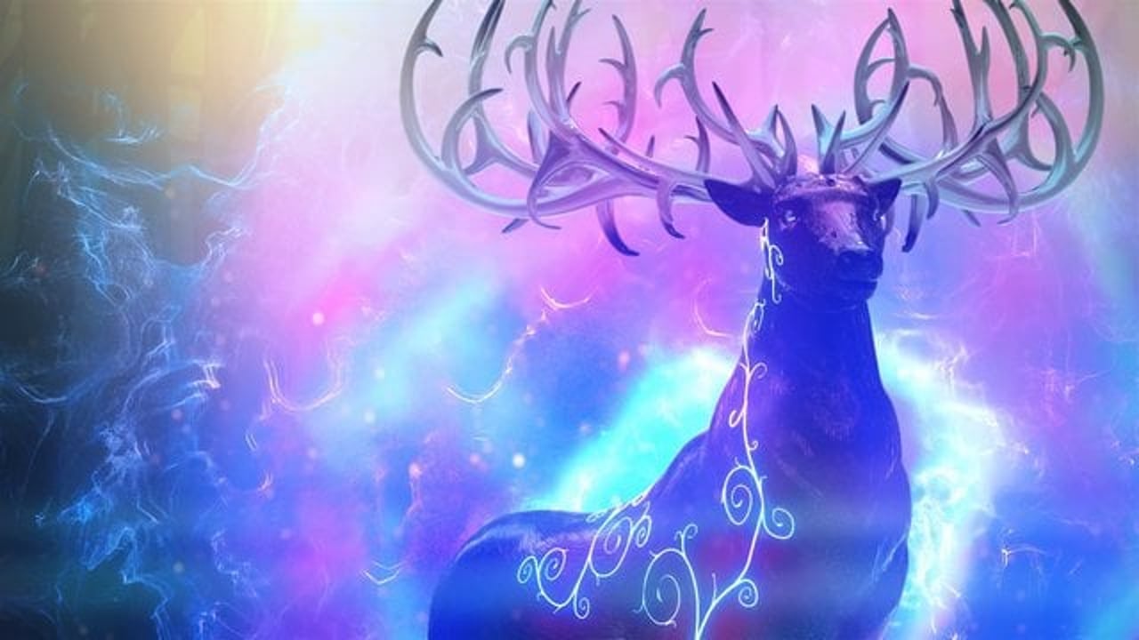 Thumbnail for "MTV Idol"