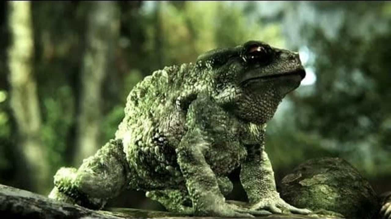 Vignette de « CryEngine3 Tech Trailer »