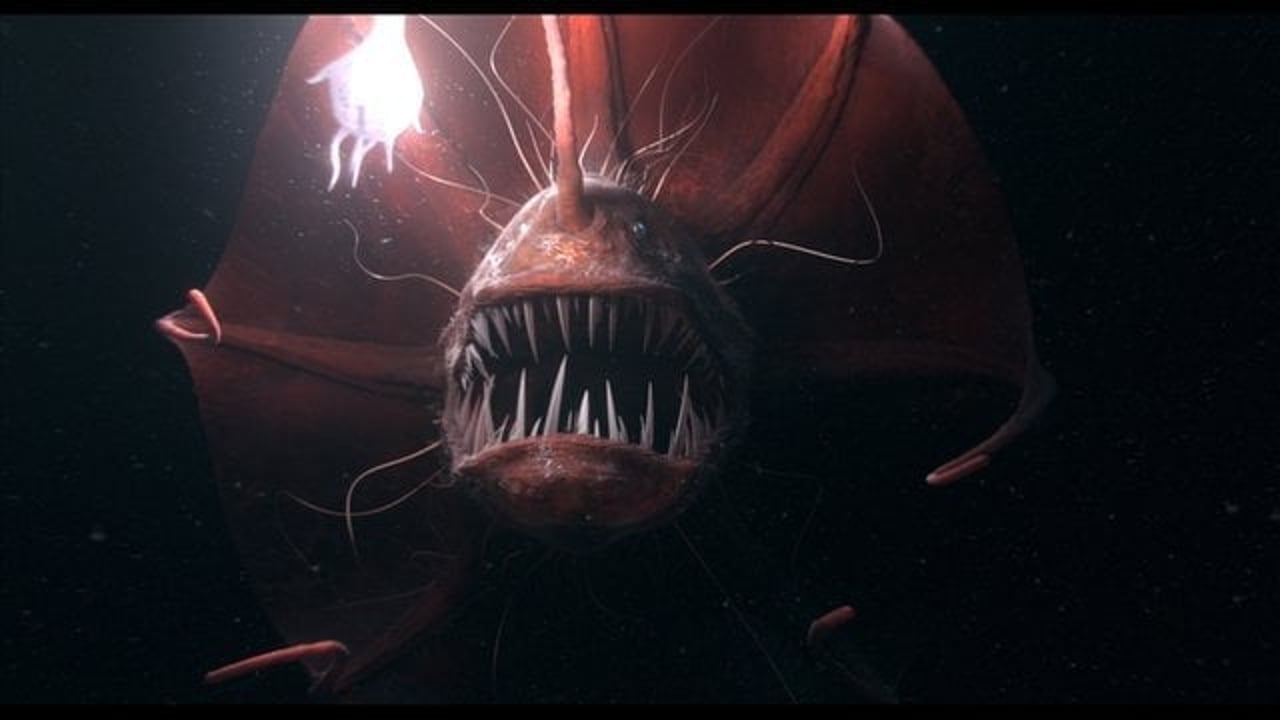 Thumbnail for "Showreel 2013"