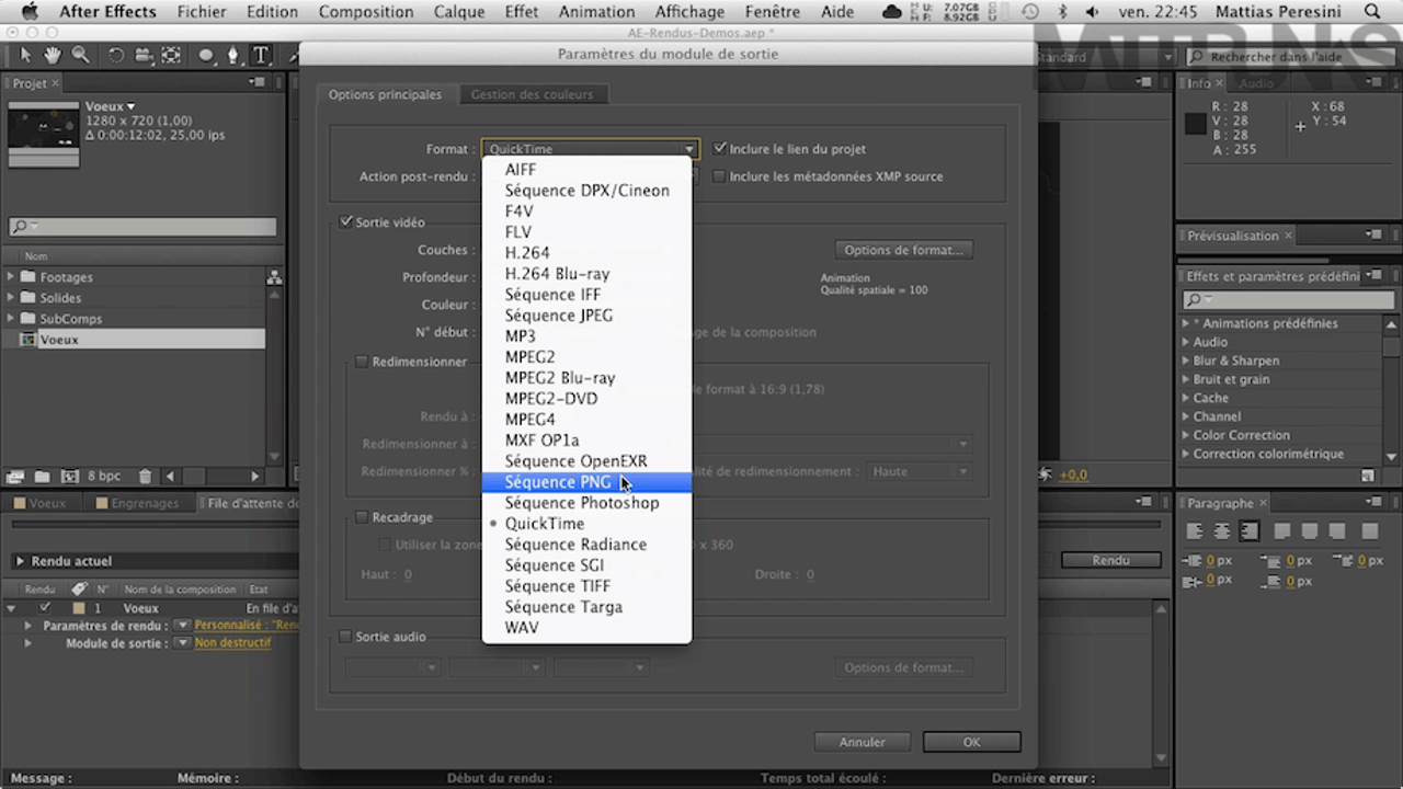 Vignette de « Le rendu, apprendre à exporter vos vidéos 9/9 »