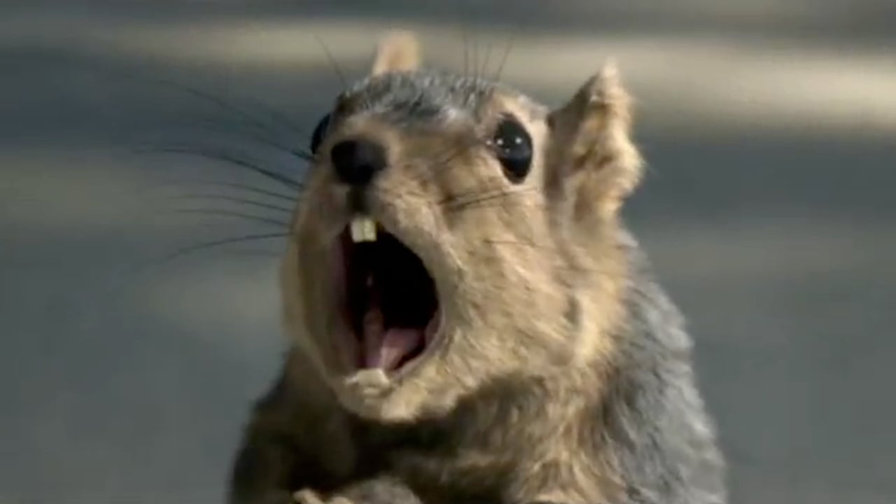 Thumbnail for "Showreel 2008"