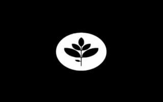 Vignette de « Brand New School Showreel 2009 »