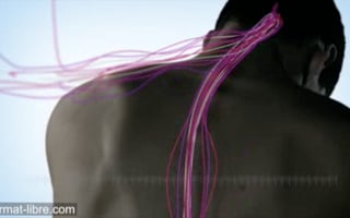 Vignette de « Chirurgiens de l'Espoir »