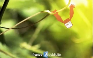 Vignette de « France 3 - Identité »