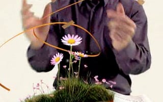 Vignette de « La Maison »