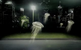 Vignette de « Planete Thalassa  »