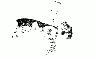 Vignette de « AOL - Pointer Swarm »