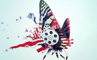 Vignette de « Msn Talk Butterflies Spot A French »