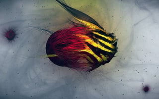 Vignette de « Royal Elastics - Feilfri  »