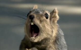 Vignette de « Showreel 2008 »