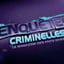 Vignette de « Enquêtes criminelles  »