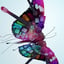Vignette de « Msn Talk Butterflies Spot B French »