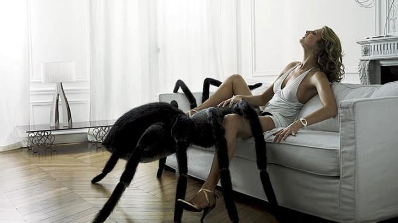 Peut-on encore croire nos yeux devant la qualité des effets spéciaux ? Non..